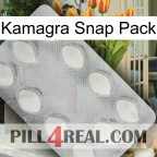Kamagra Snap Pack 16